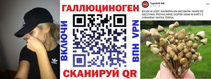 купить наркоту Бикин Галлюциногенные грибы GOLDEN TEACHER