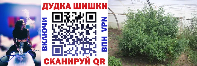 МАРИХУАНА THC 21%  кракен как зайти  Бикин 